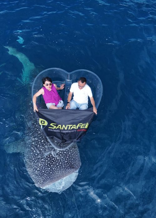 CHALLENGE YOUR SELF 1